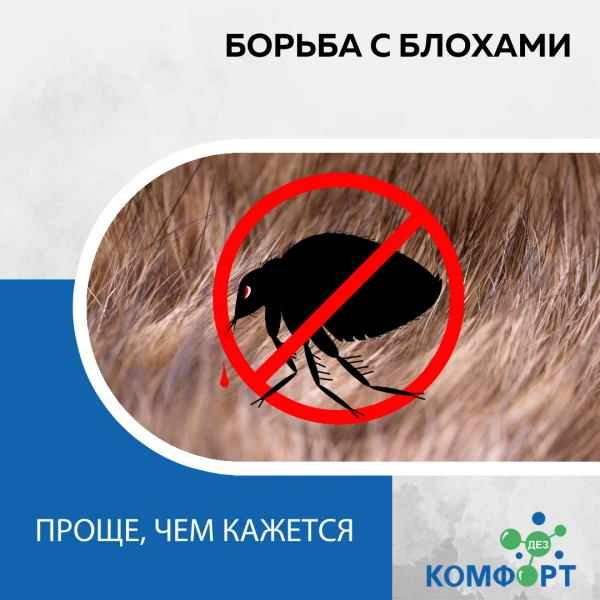 Фото Обработка от блох 