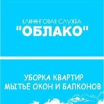 Уборка квартир в Омске. Мытьё окон в Омске. Клинин