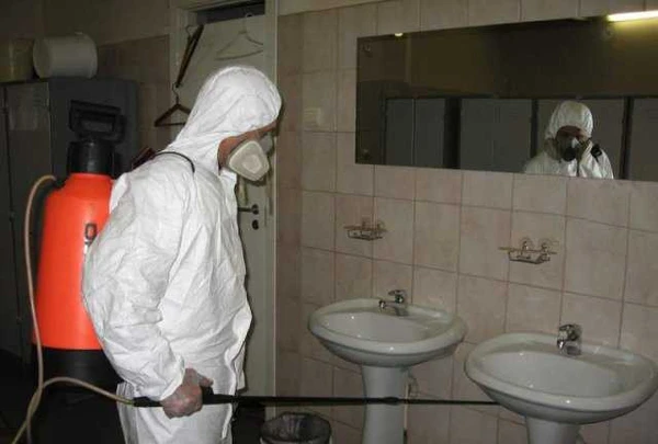 Фото Дезинфекция насекомых, грызунов, плесени, запаха