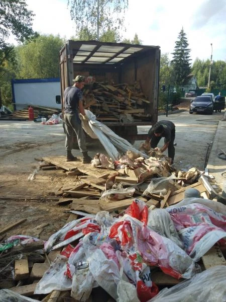 Фото Вывоз мусора 