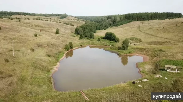 Фото Земля с прудом в с. Еремеево, 2 Га в собственности под ЛПХ