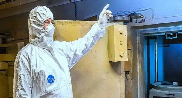 Фото Дезинфекция, избавление от плесени мышей насекомых