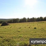 Фото №3 ⭕ЗЕМЛЯ 32га. ЛЕС, РУЧЕЙ.