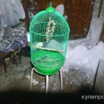 Фото №3 Клетка для попугаев.