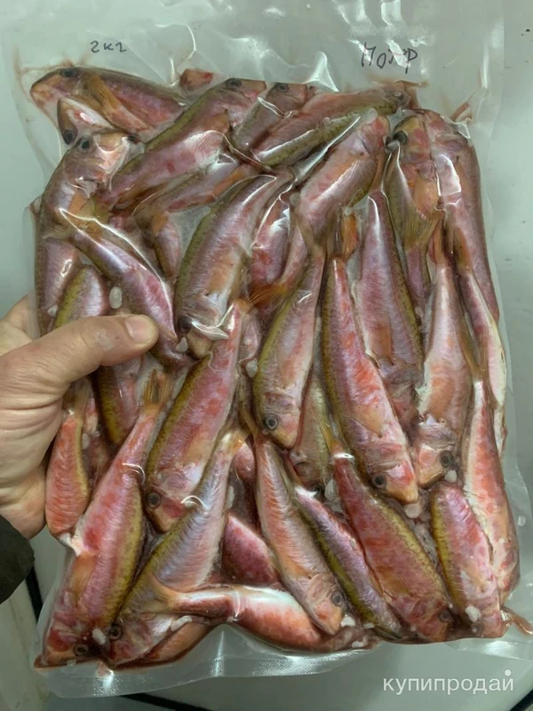 Фото Барабулька черноморская свежемороженая