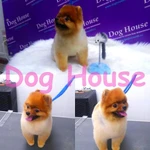 Салон &amp; зоомагазин для животных Dog House в Калуге