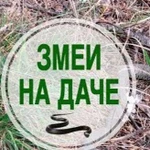 Спокойная жизнь на даче без змей