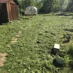 Фото №4 Скосить траву в Солнечногорском районе