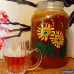 Фото №2 Чайный Гриб Комбуча Фанго