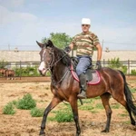 Обучение верховой езде, прокат на лошади