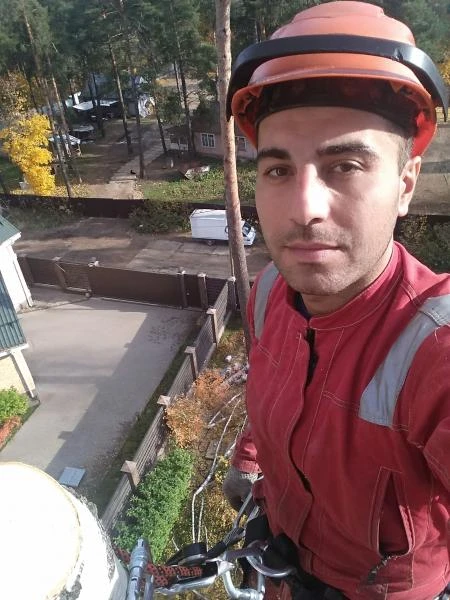 Фото Удаление и Обрезка деревьев 
