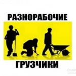 Фото №3 Демонтаж/Копка/Вывоз мусора/Землекопы