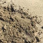 Фото №5 Песок. Щебень. Гравий. ГПС.