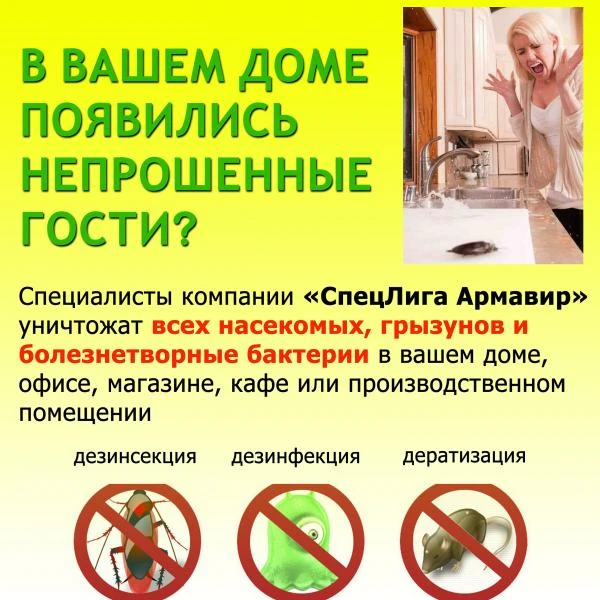 Фото Уничтожение клопов, тараканов, муравьев, мышей, крыс.