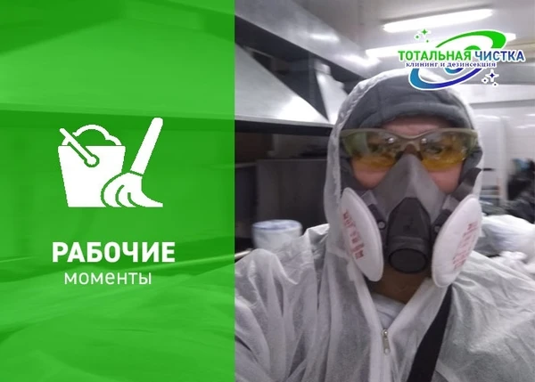 Фото Уничтожение тараканов клопов, муравьев, мышей крыс