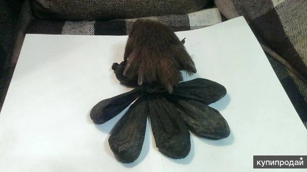 Фото Желчь медв. (Горный Алтай)