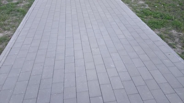 Фото Мощение тротуарной плитки 
