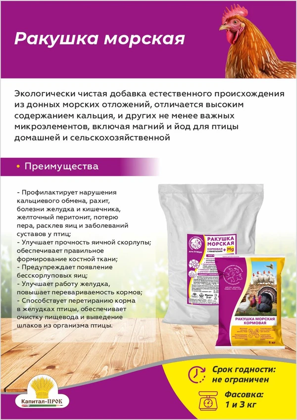Фото Ракушка морская кальциевая подкормка для кур, голубей и декоративных птиц 1кг
