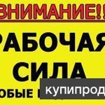 Фото №5 Рабочая сила от Тимофея