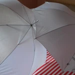 Фото №11 Свадьба:Палатка, зонты белые, стол 180, люстра для цветов, мольберт для рассадки