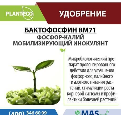 Фото Бактофосфорин Planteco - Биоудобрение для предпосевной обраб