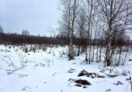 Фото Земельный участок в Подснежниках