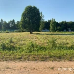 Фото №2 Продается земельный участок (Московская область)