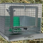 Фото №4 Брудер для цыплят