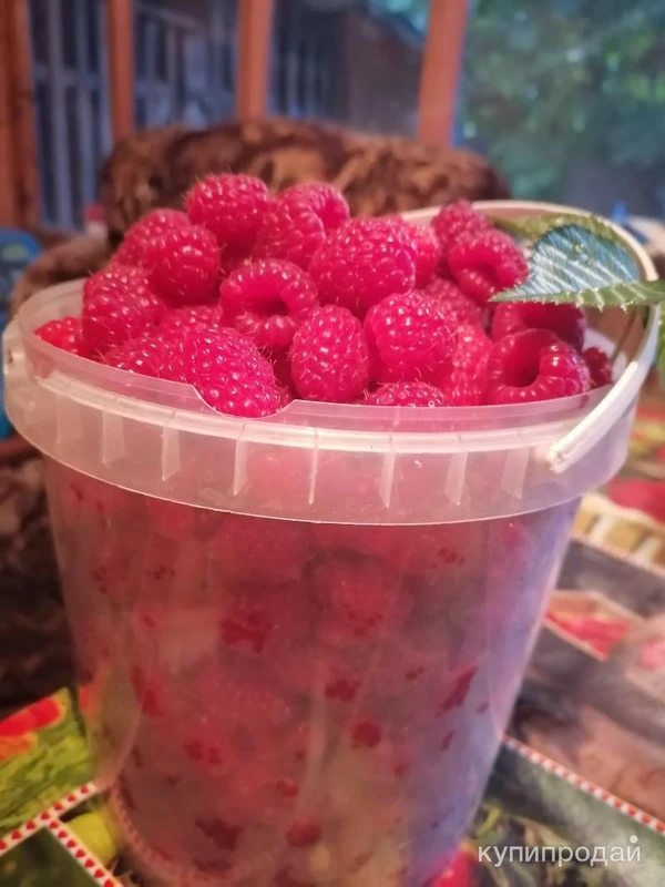 Фото Малина - ягода