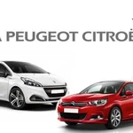 Диагностика и ремонт Peugeot, Citroen, Fiat