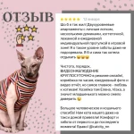 Фото №7 Гостиница для кошек САТ СIТY