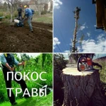 Копка земли, расчистка