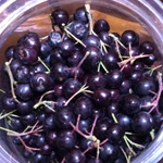 фото Черноплодная рябина ( Арония)