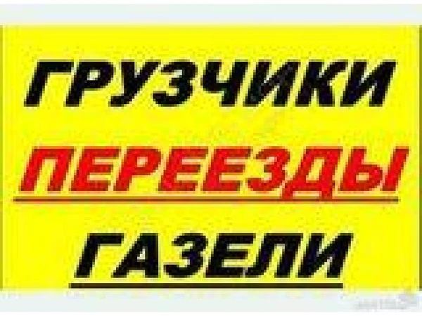 Фото грузчики