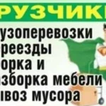 Грузоперевозки - переезды - грузчики - вывоз мусор