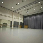 Текстильные шторы и занавеси для спортивных сооружений, спортивных, тренажерных и танцевальных залов и др.