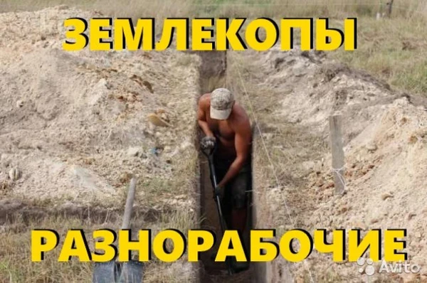 Фото Уборка дачных участков растирка газонов с опытом.