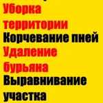 Покос травы, Уборка территории, Вывоз мусора и т.д