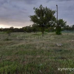 Фото №6 Лот  74233 Предлагается к продаже участок 8,3 сотки в СТ Скала-2.