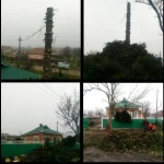 Фото №3 Спил деревьев