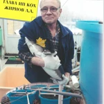 Фото №5 Балык осетровый филе  ХК и вяленый