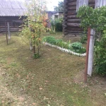 Фото №4 НАШ ИНСТРУМЕНТ. Покос травы Волхов Дмитрий Иванов
