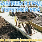 Фото №3 Помощь на даче