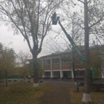 Фото №3 Обрезка, спил деревьев,расчистка участков,благоустройство
