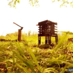 Фото №4 Устройство для жарки "FRIER"