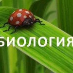 Репетитор по биологии