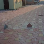 Фото №10 Укладка Тротуарной плитки и Плитняка