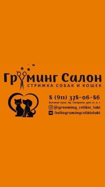 Фото Груминг Салон, стрижка собак, кошек