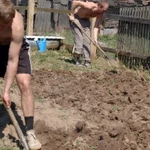 Услуги по саду, огороду и благоустройству