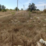 Фото №4 Лот  74578 Предлагаем к продаже участок на Северной стороне Севастополя в СНТ